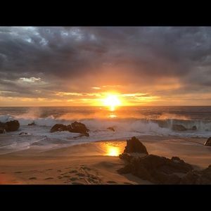 Meet your Posher, Virginia